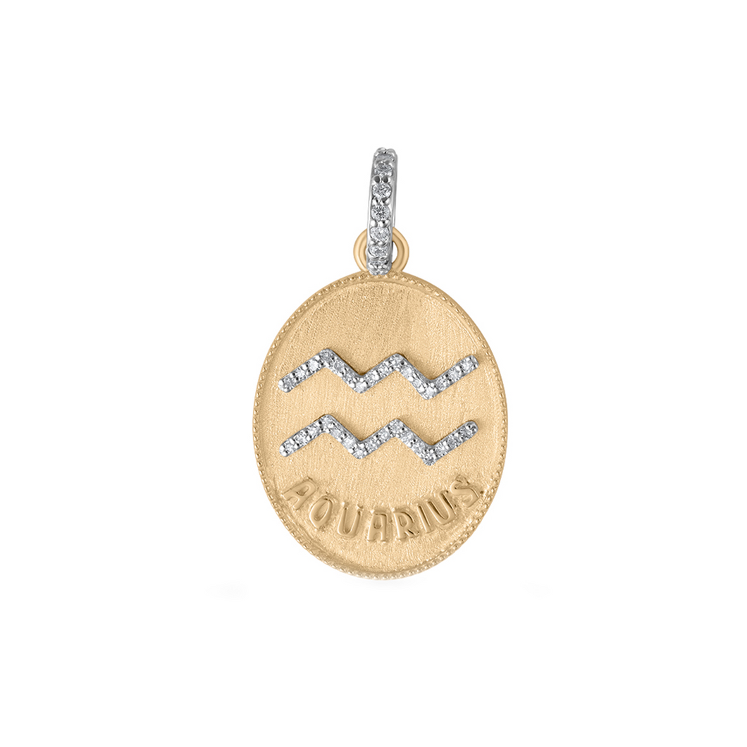 Zodiac Aquarius - Small Medallion