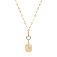 ZODIAC CAPRICORN- LARGE MEDALLION