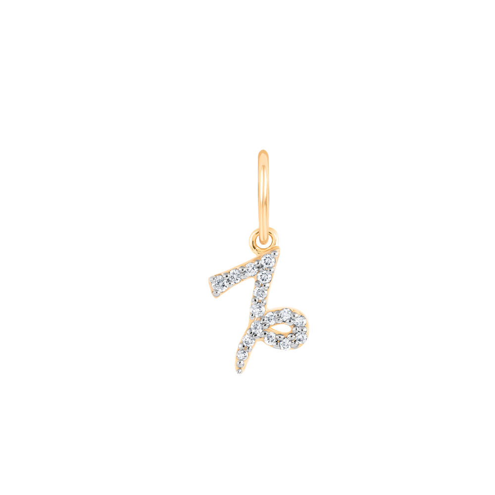 ZODIAC CAPRICORN-  MINI PENDANT