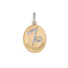 Zodiac Capricorn - Small Medallion
