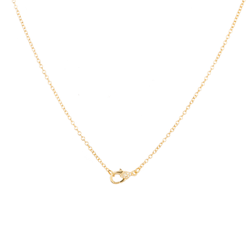 Chain Necklace with Pelican Diamond Clasp